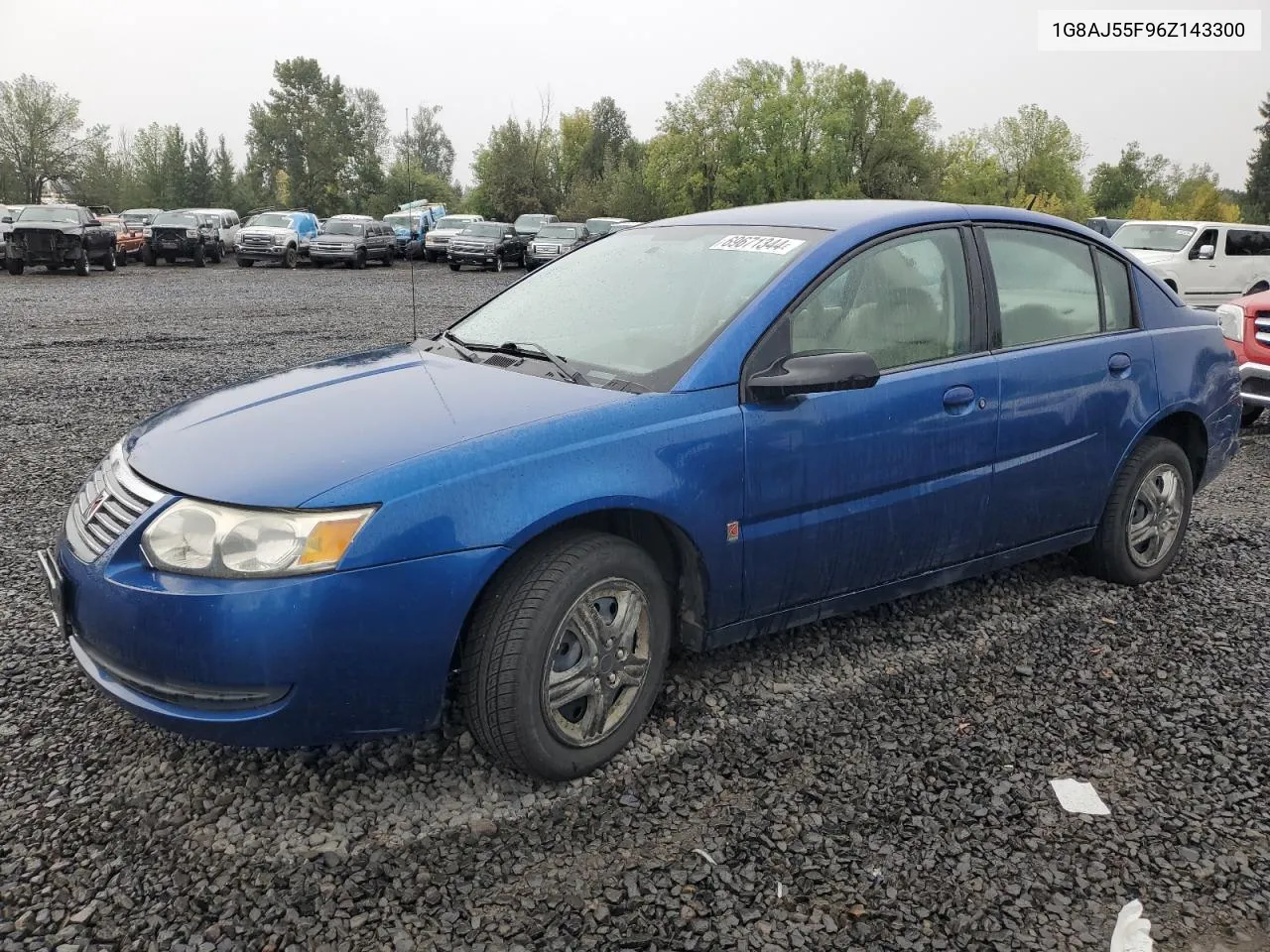 2006 Saturn Ion Level 2 VIN: 1G8AJ55F96Z143300 Lot: 69671344