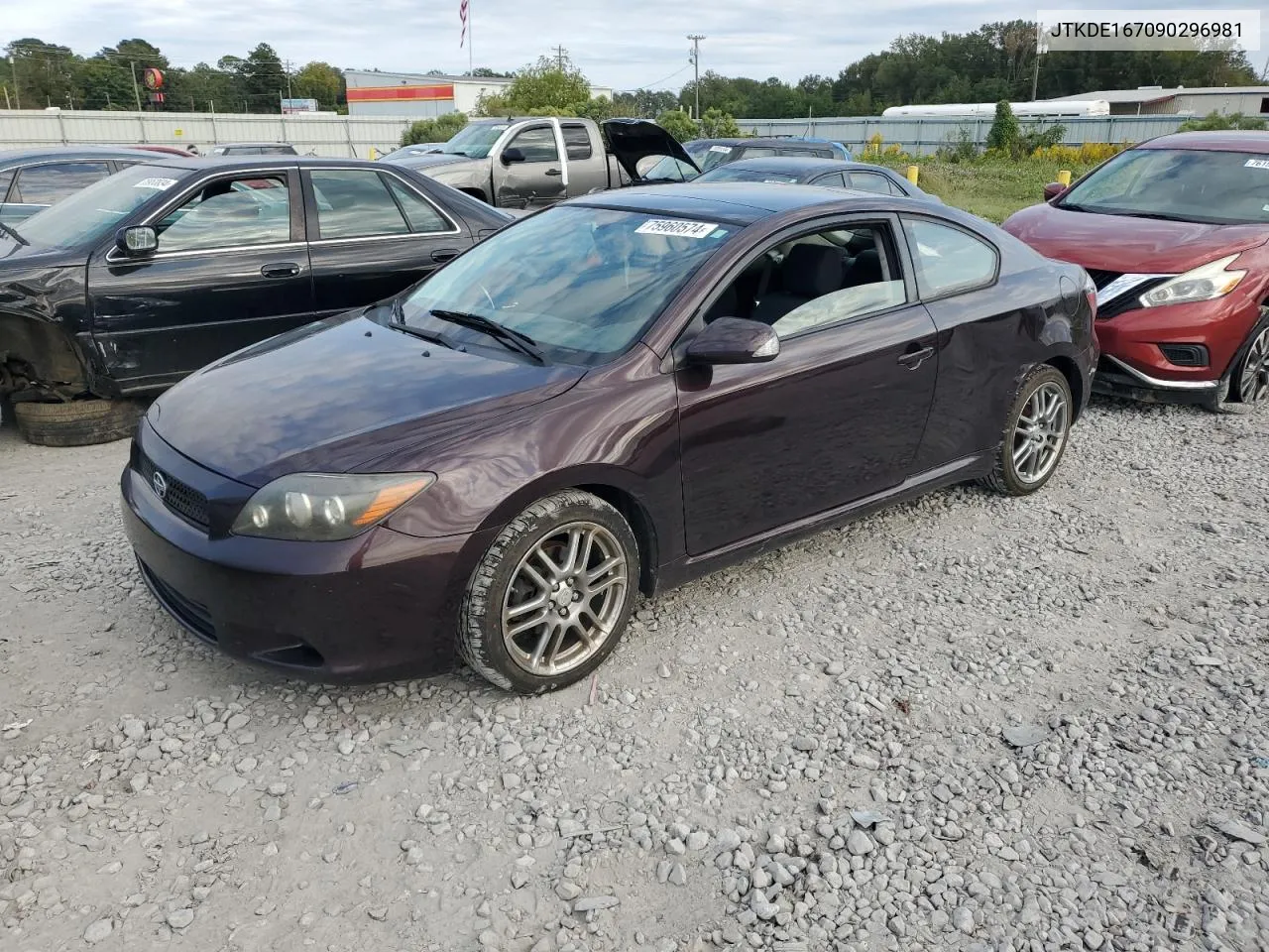 2009 Toyota Scion Tc VIN: JTKDE167090296981 Lot: 75960574