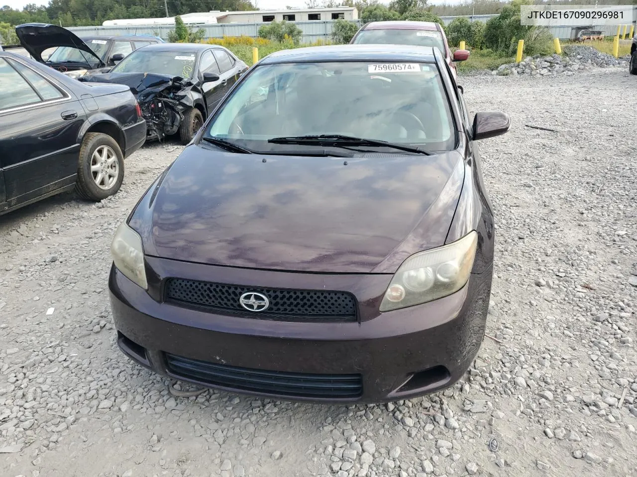 2009 Toyota Scion Tc VIN: JTKDE167090296981 Lot: 75960574