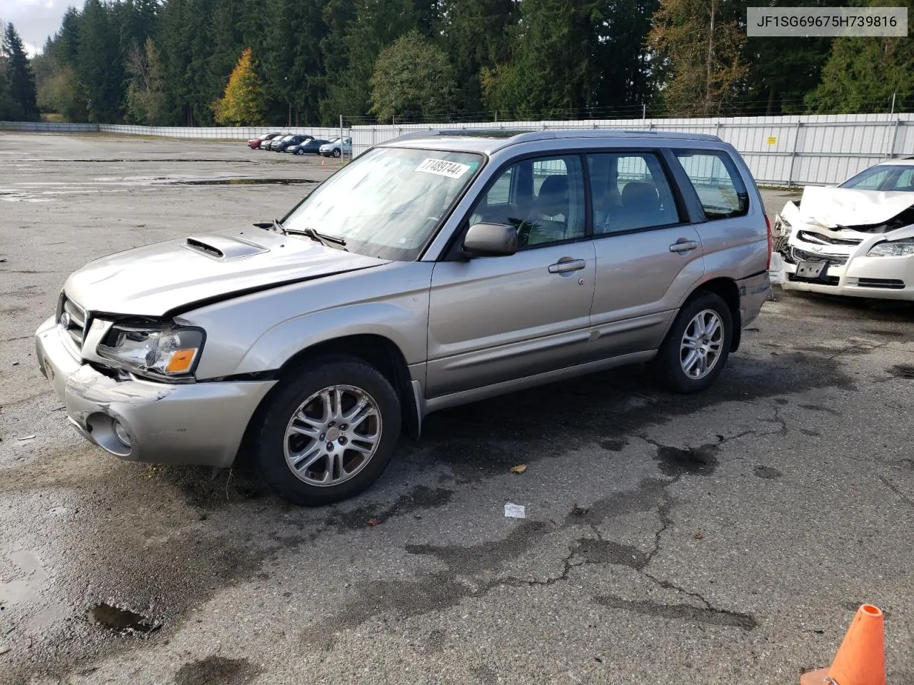 2005 Subaru Forester 2.5Xt VIN: JF1SG69675H739816 Lot: 77489744