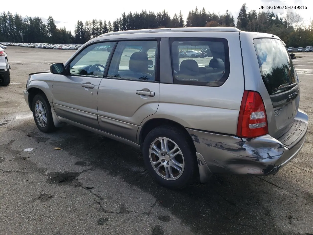 2005 Subaru Forester 2.5Xt VIN: JF1SG69675H739816 Lot: 77489744