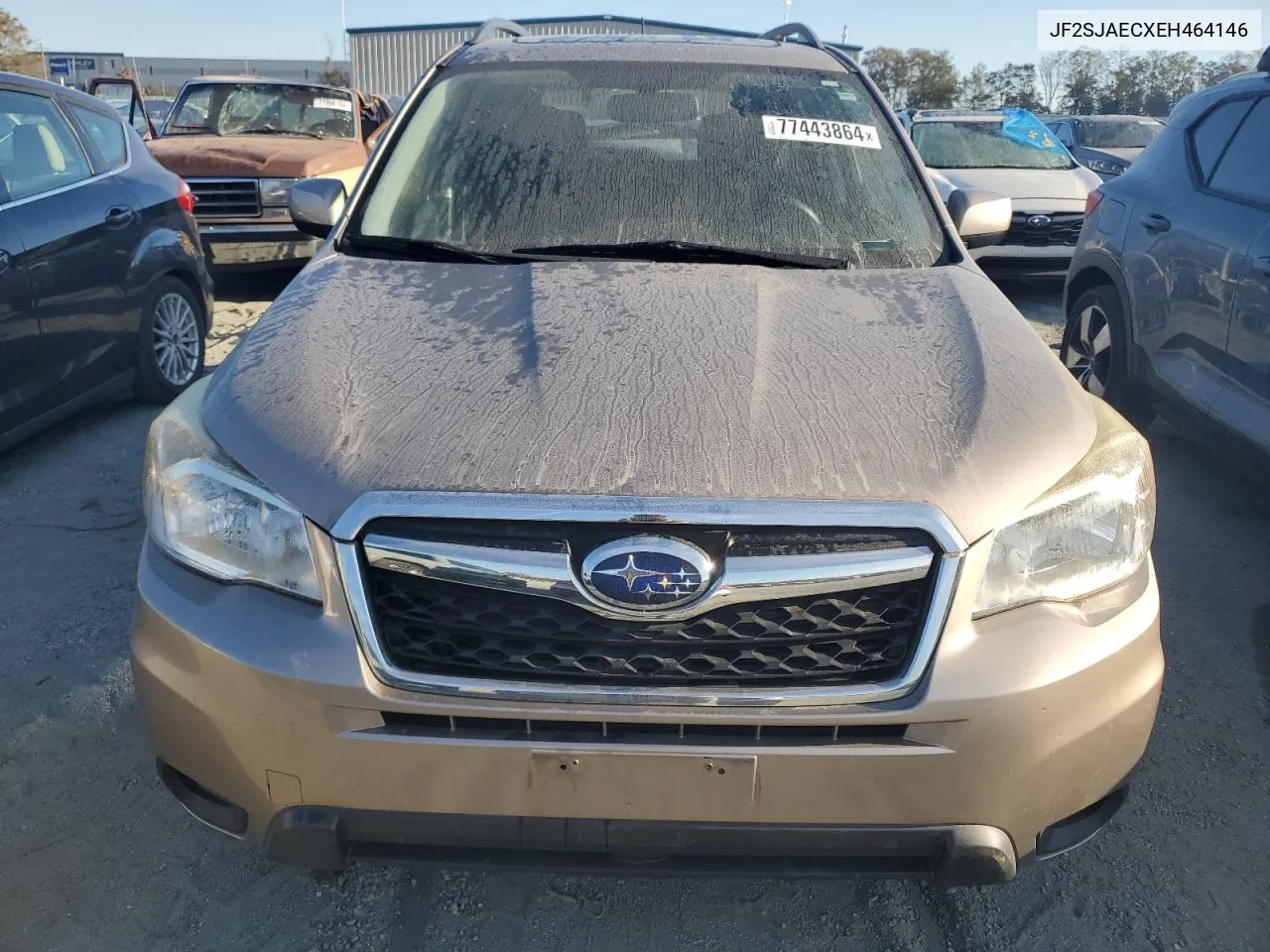 2014 Subaru Forester 2.5I Premium VIN: JF2SJAECXEH464146 Lot: 77443864