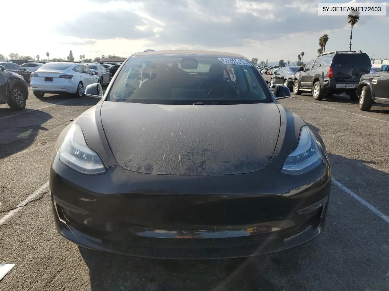 2018 Tesla Model 3 VIN: 5YJ3E1EA9JF172603 Lot: 81144214