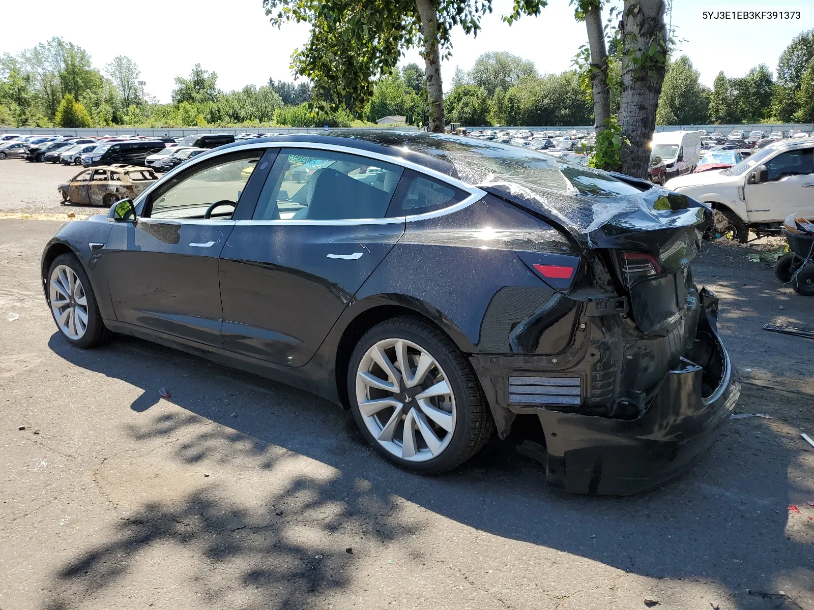 2019 Tesla Model 3 VIN: 5YJ3E1EB3KF391373 Lot: 63236924