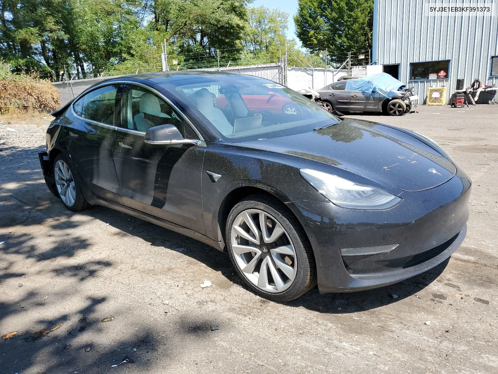 2019 Tesla Model 3 VIN: 5YJ3E1EB3KF391373 Lot: 63236924