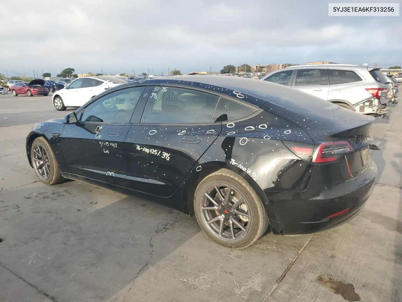 2019 Tesla Model 3 VIN: 5YJ3E1EA6KF313256 Lot: 69466804