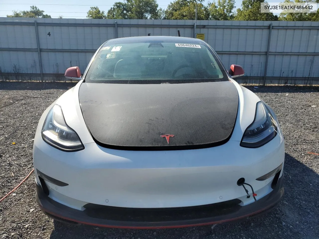 2019 Tesla Model 3 VIN: 5YJ3E1EA1KF486442 Lot: 69646224