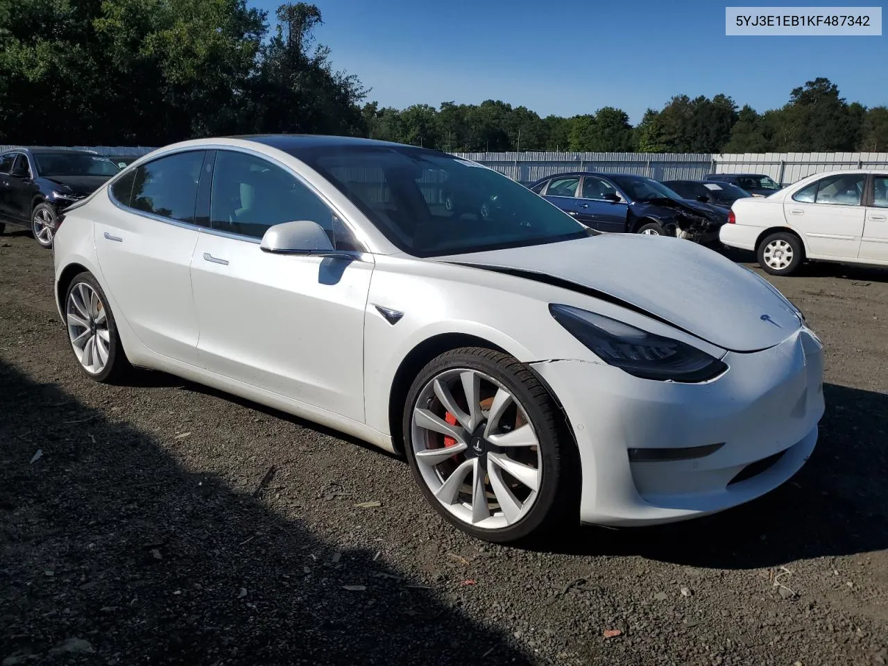 2019 Tesla Model 3 VIN: 5YJ3E1EB1KF487342 Lot: 69746794