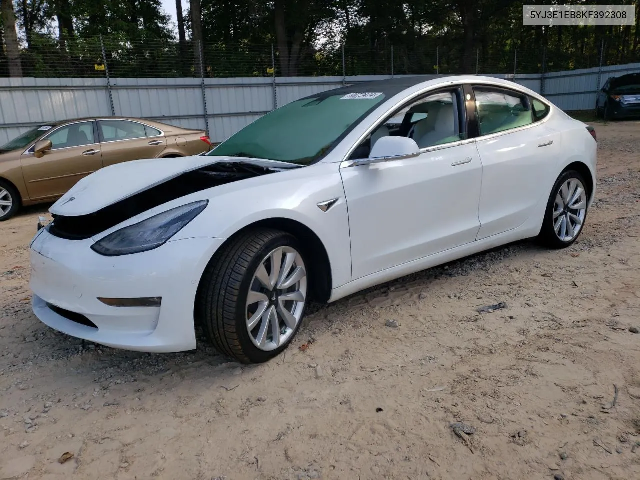 2019 Tesla Model 3 VIN: 5YJ3E1EB8KF392308 Lot: 70873474