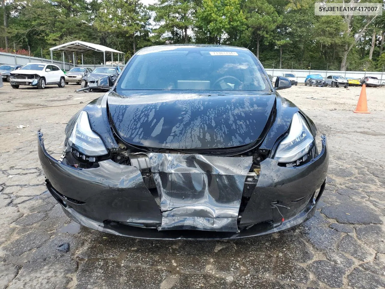 2019 Tesla Model 3 VIN: 5YJ3E1EA1KF417007 Lot: 71381734