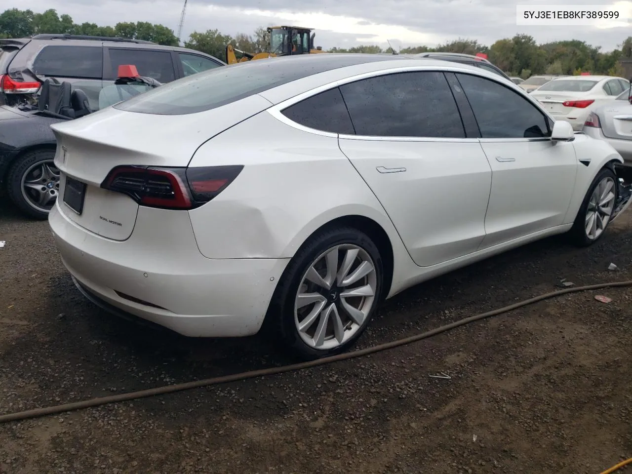 2019 Tesla Model 3 VIN: 5YJ3E1EB8KF389599 Lot: 71619154