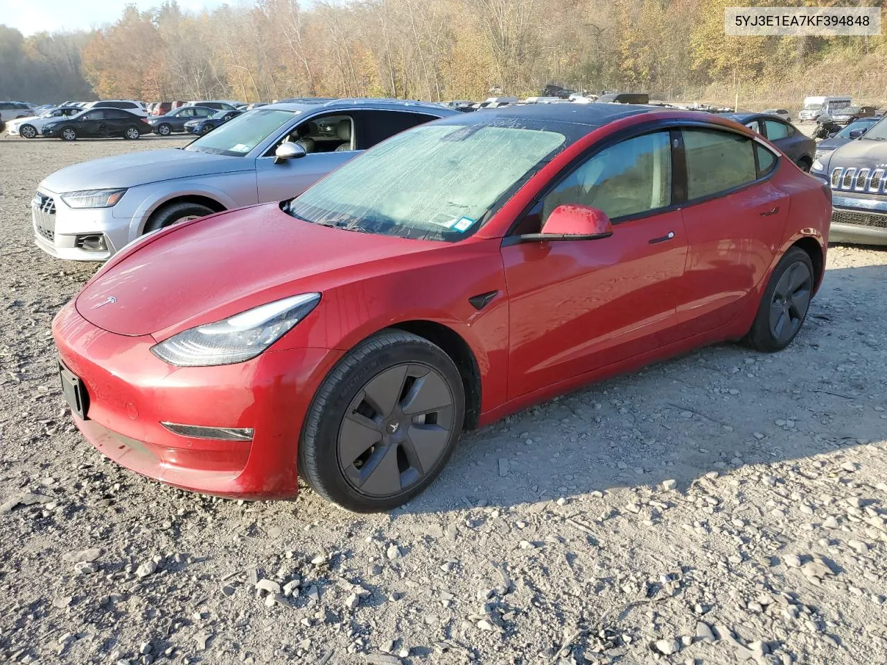 2019 Tesla Model 3 VIN: 5YJ3E1EA7KF394848 Lot: 71914304