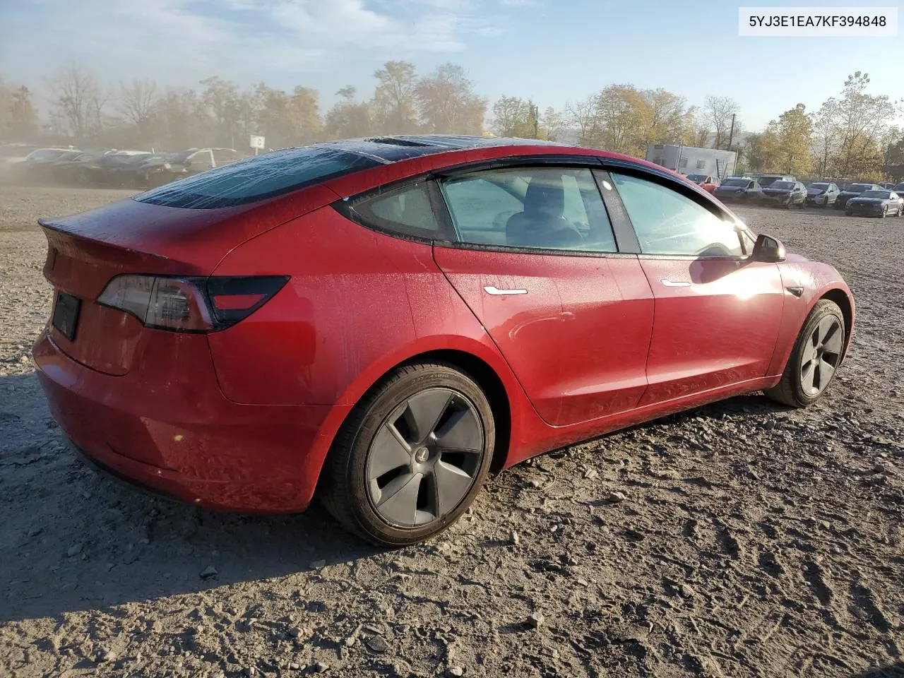 2019 Tesla Model 3 VIN: 5YJ3E1EA7KF394848 Lot: 71914304