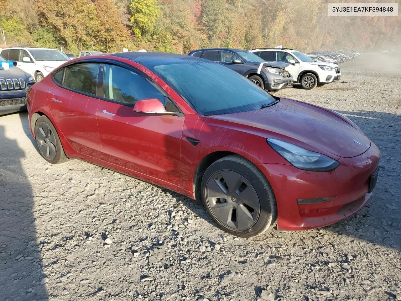 2019 Tesla Model 3 VIN: 5YJ3E1EA7KF394848 Lot: 71914304