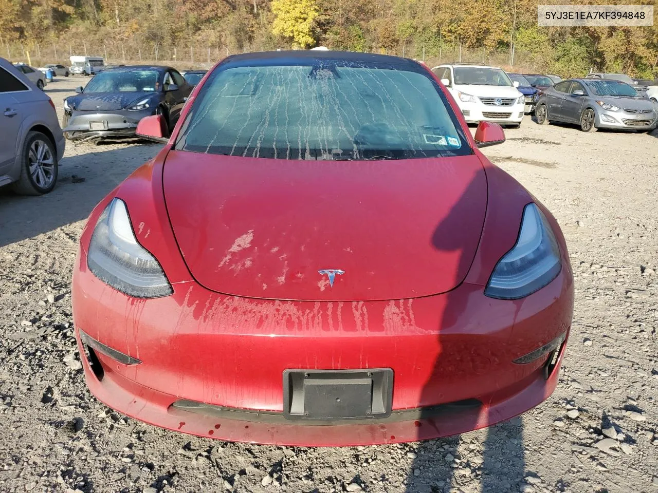 2019 Tesla Model 3 VIN: 5YJ3E1EA7KF394848 Lot: 71914304