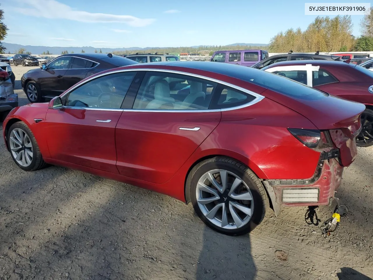 2019 Tesla Model 3 VIN: 5YJ3E1EB1KF391906 Lot: 72433334