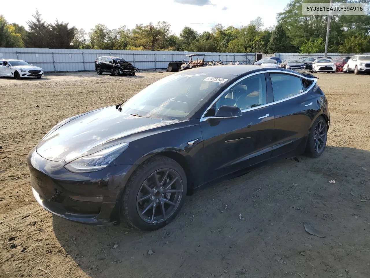 2019 Tesla Model 3 VIN: 5YJ3E1EA9KF394916 Lot: 72475294