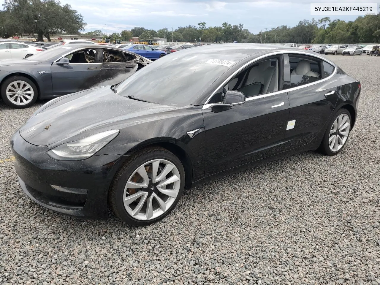 2019 Tesla Model 3 VIN: 5YJ3E1EA2KF445219 Lot: 73758274