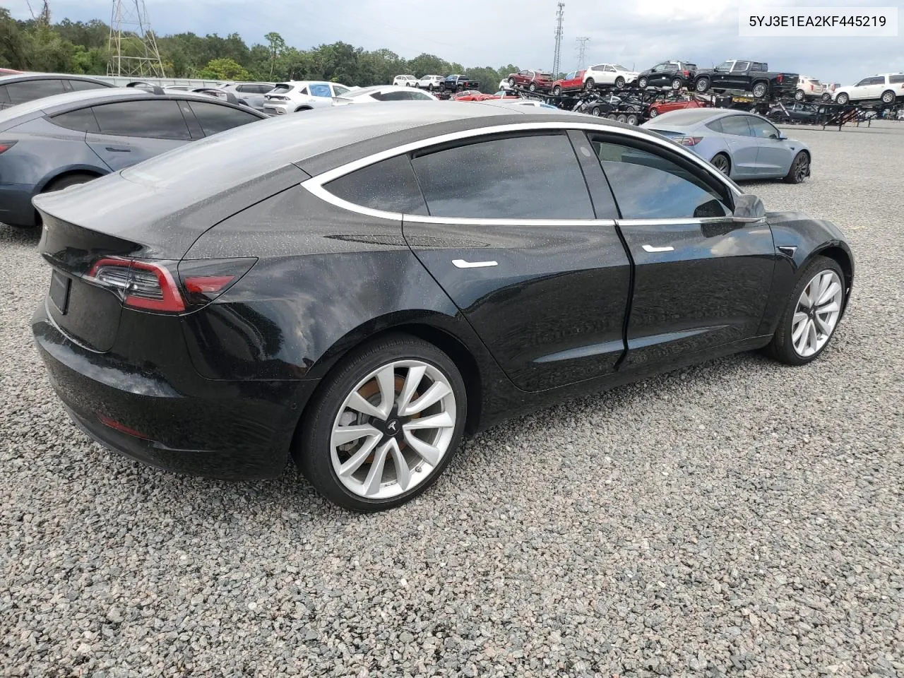 2019 Tesla Model 3 VIN: 5YJ3E1EA2KF445219 Lot: 73758274