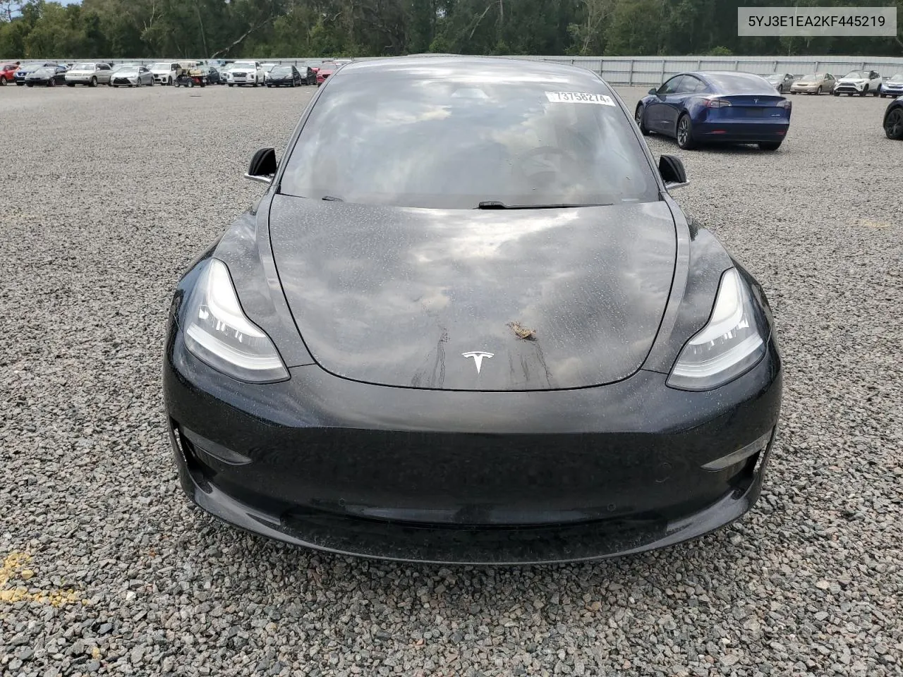 2019 Tesla Model 3 VIN: 5YJ3E1EA2KF445219 Lot: 73758274