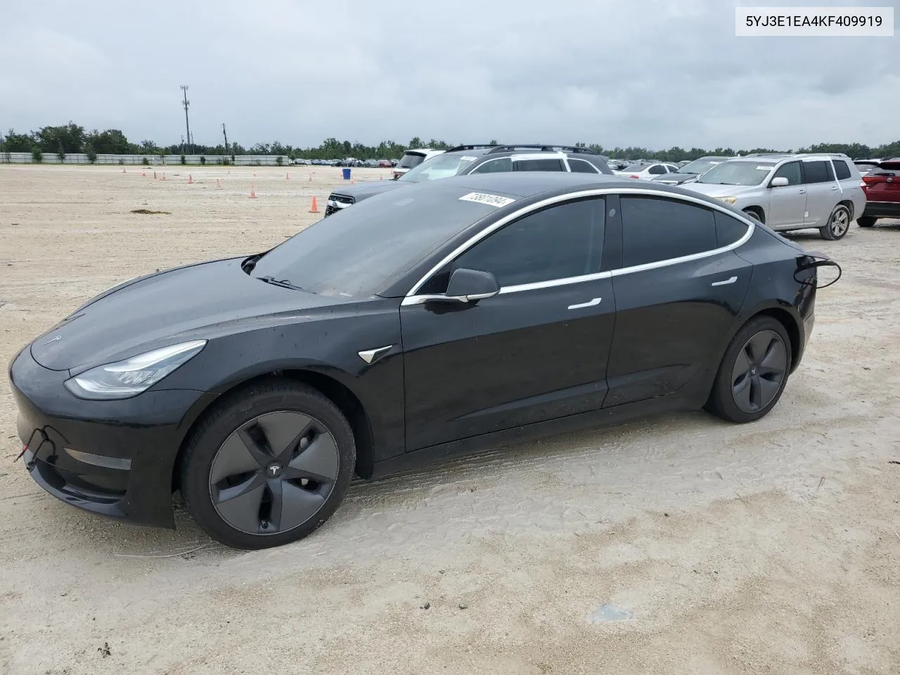 2019 Tesla Model 3 VIN: 5YJ3E1EA4KF409919 Lot: 73801094