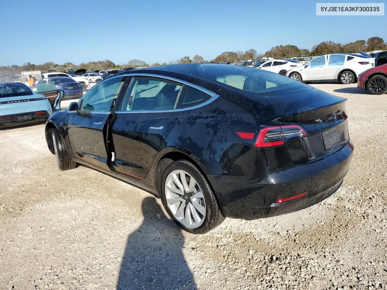 2019 Tesla Model 3 VIN: 5YJ3E1EA3KF300335 Lot: 74123274