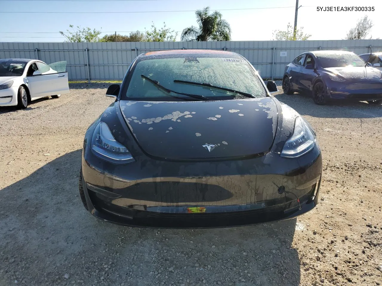 2019 Tesla Model 3 VIN: 5YJ3E1EA3KF300335 Lot: 74123274