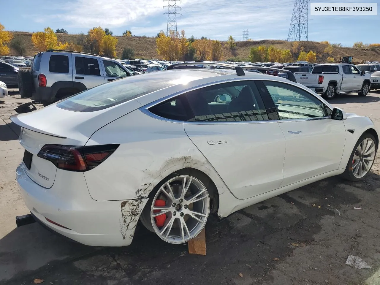 2019 Tesla Model 3 VIN: 5YJ3E1EB8KF393250 Lot: 76925094