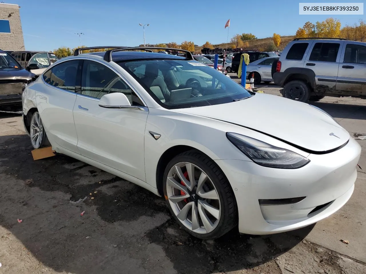 2019 Tesla Model 3 VIN: 5YJ3E1EB8KF393250 Lot: 76925094