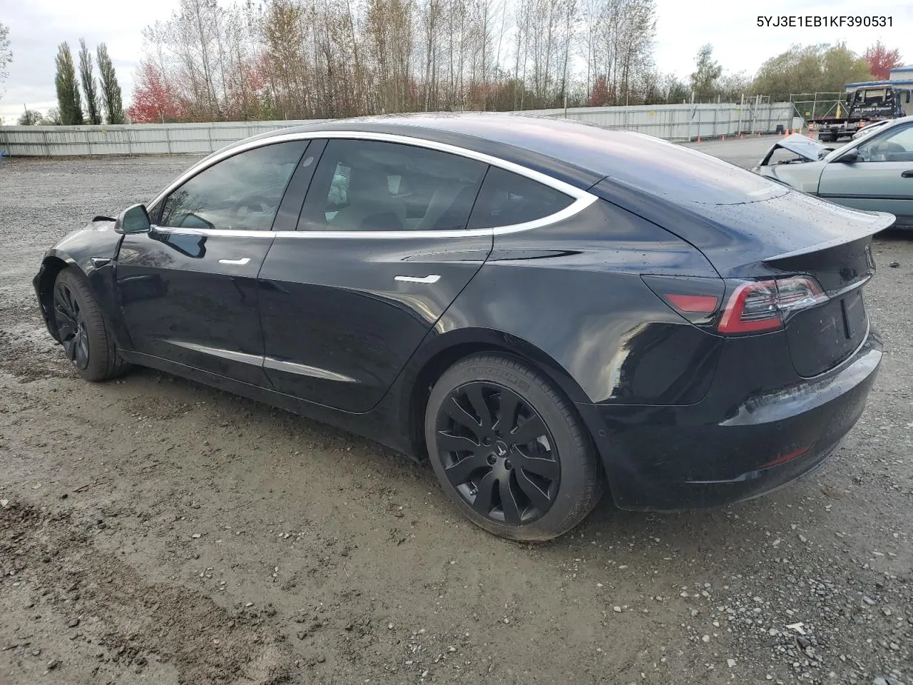 2019 Tesla Model 3 VIN: 5YJ3E1EB1KF390531 Lot: 77202794