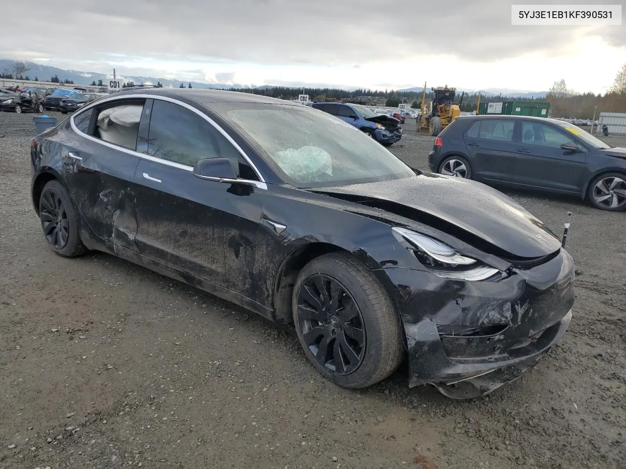 2019 Tesla Model 3 VIN: 5YJ3E1EB1KF390531 Lot: 77202794