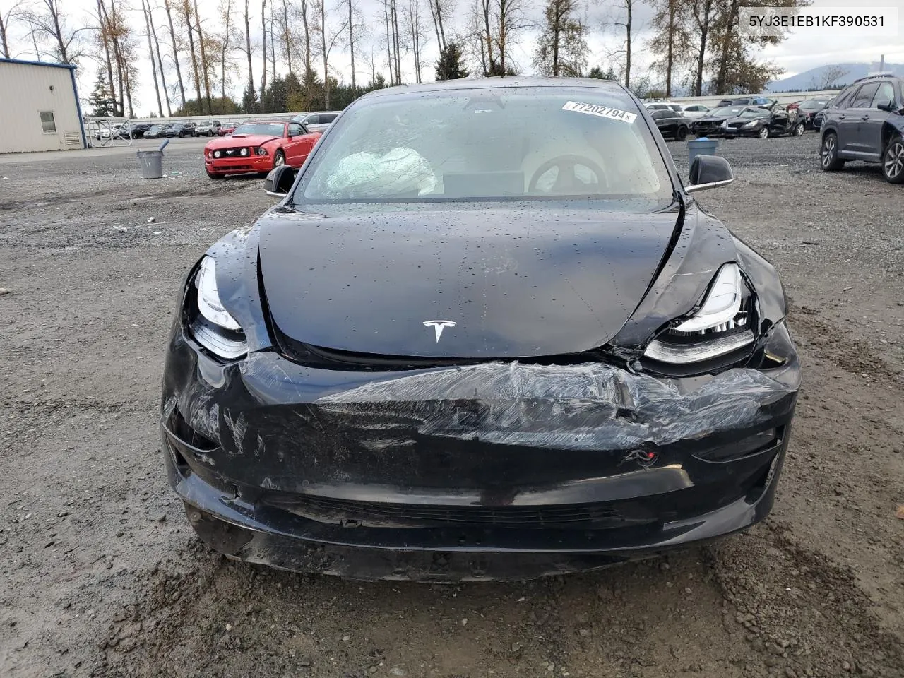 2019 Tesla Model 3 VIN: 5YJ3E1EB1KF390531 Lot: 77202794