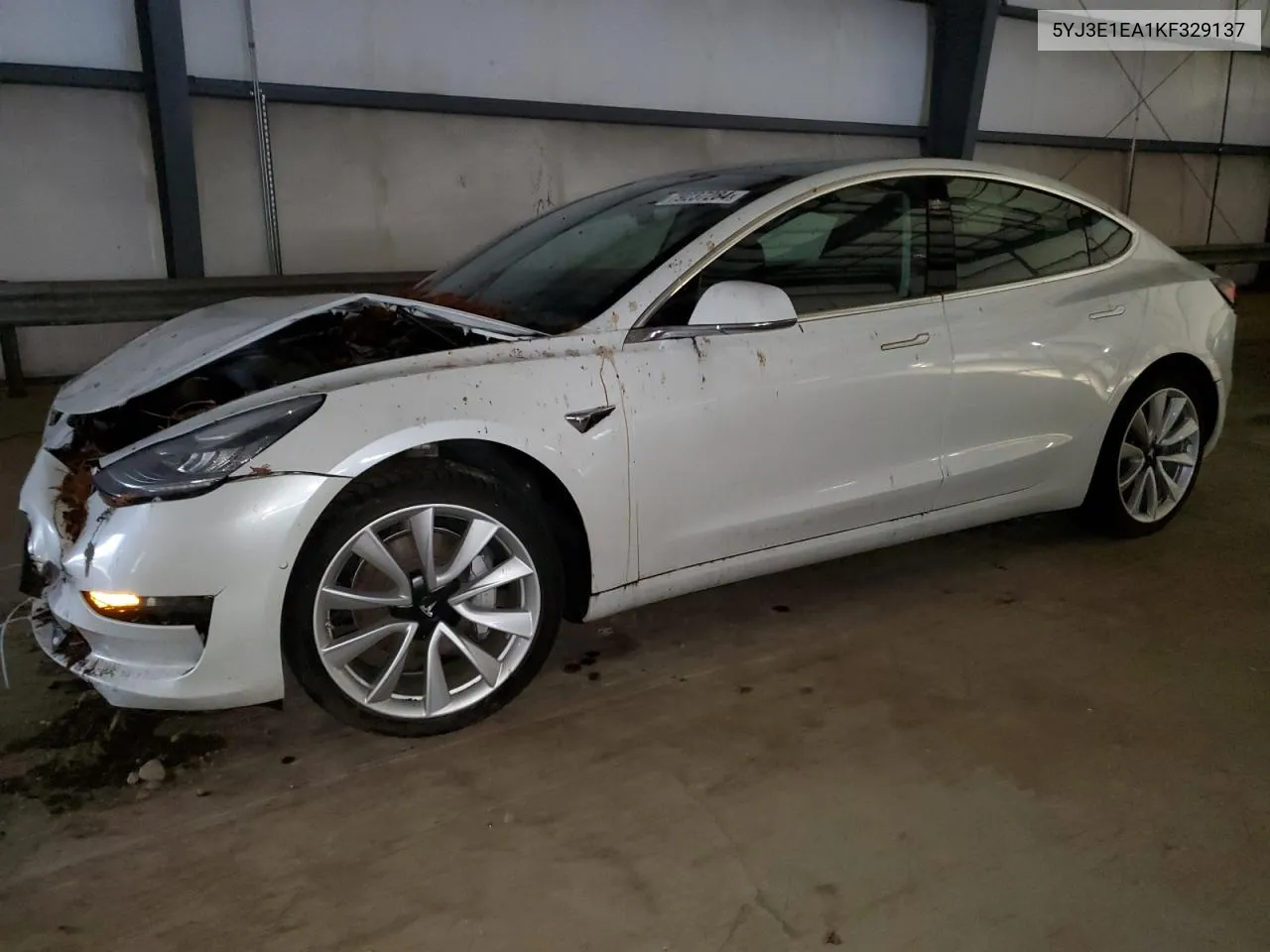 2019 Tesla Model 3 VIN: 5YJ3E1EA1KF329137 Lot: 79237284