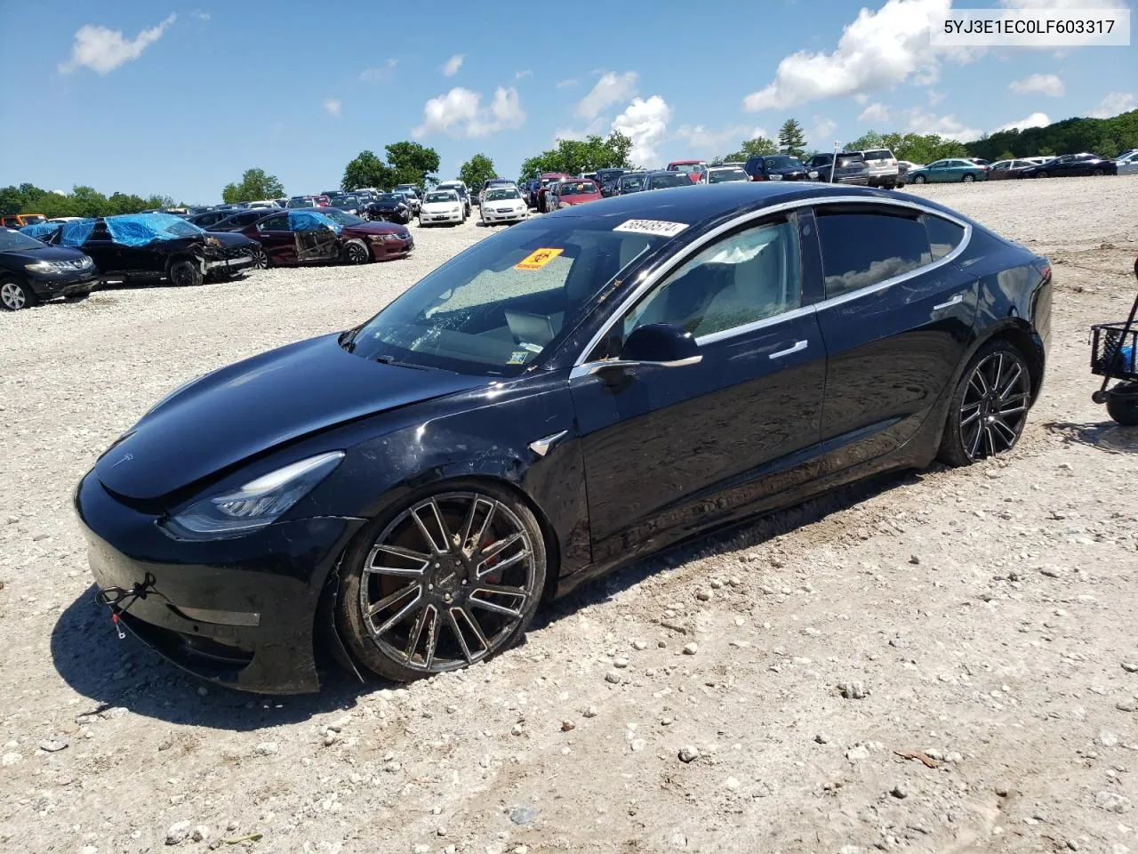 2020 Tesla Model 3 VIN: 5YJ3E1EC0LF603317 Lot: 56948574