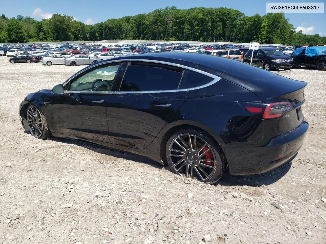 2020 Tesla Model 3 VIN: 5YJ3E1EC0LF603317 Lot: 56948574