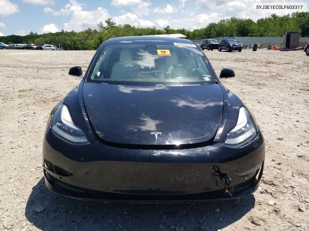 2020 Tesla Model 3 VIN: 5YJ3E1EC0LF603317 Lot: 56948574