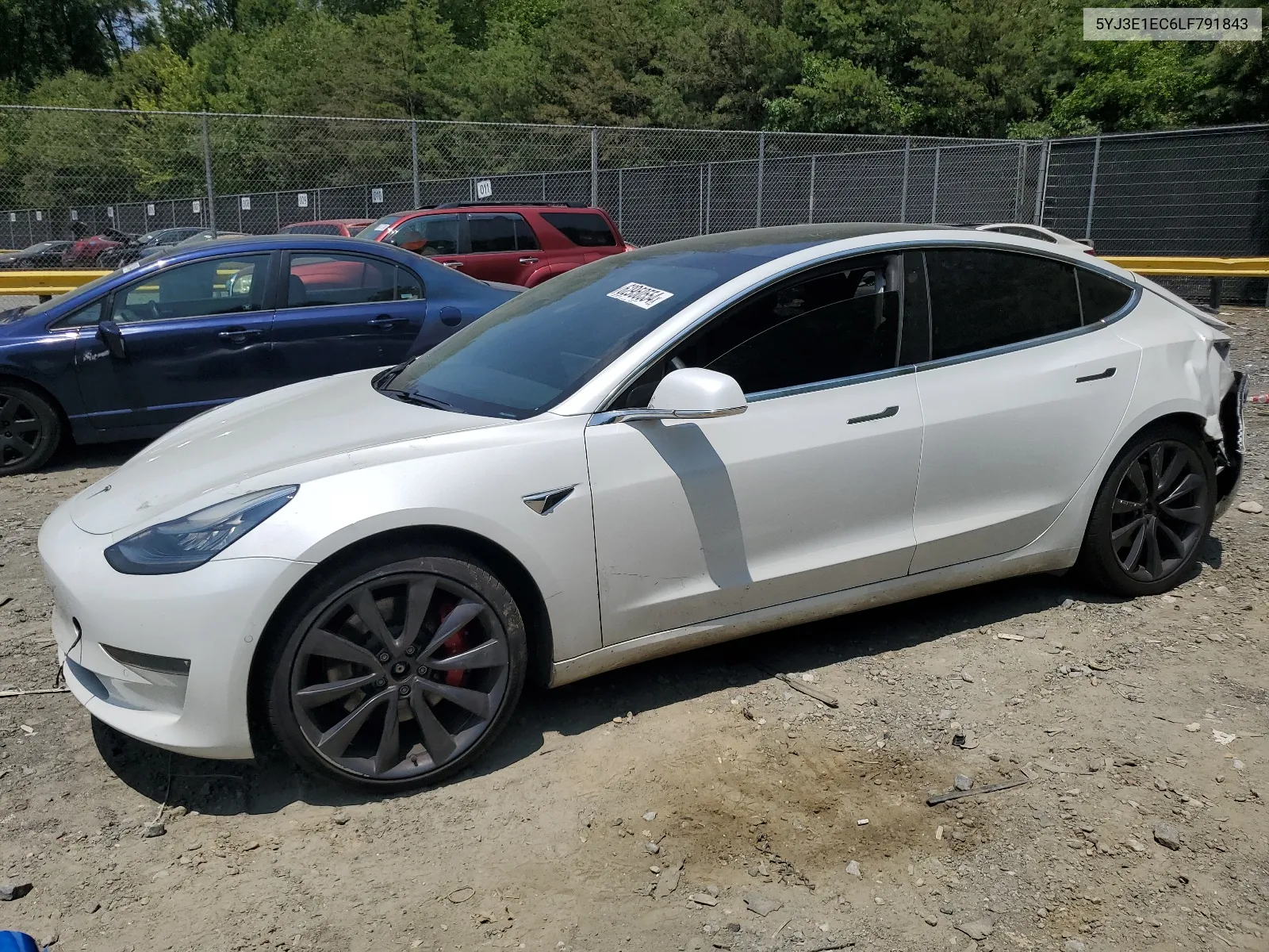 2020 Tesla Model 3 VIN: 5YJ3E1EC6LF791843 Lot: 62950554