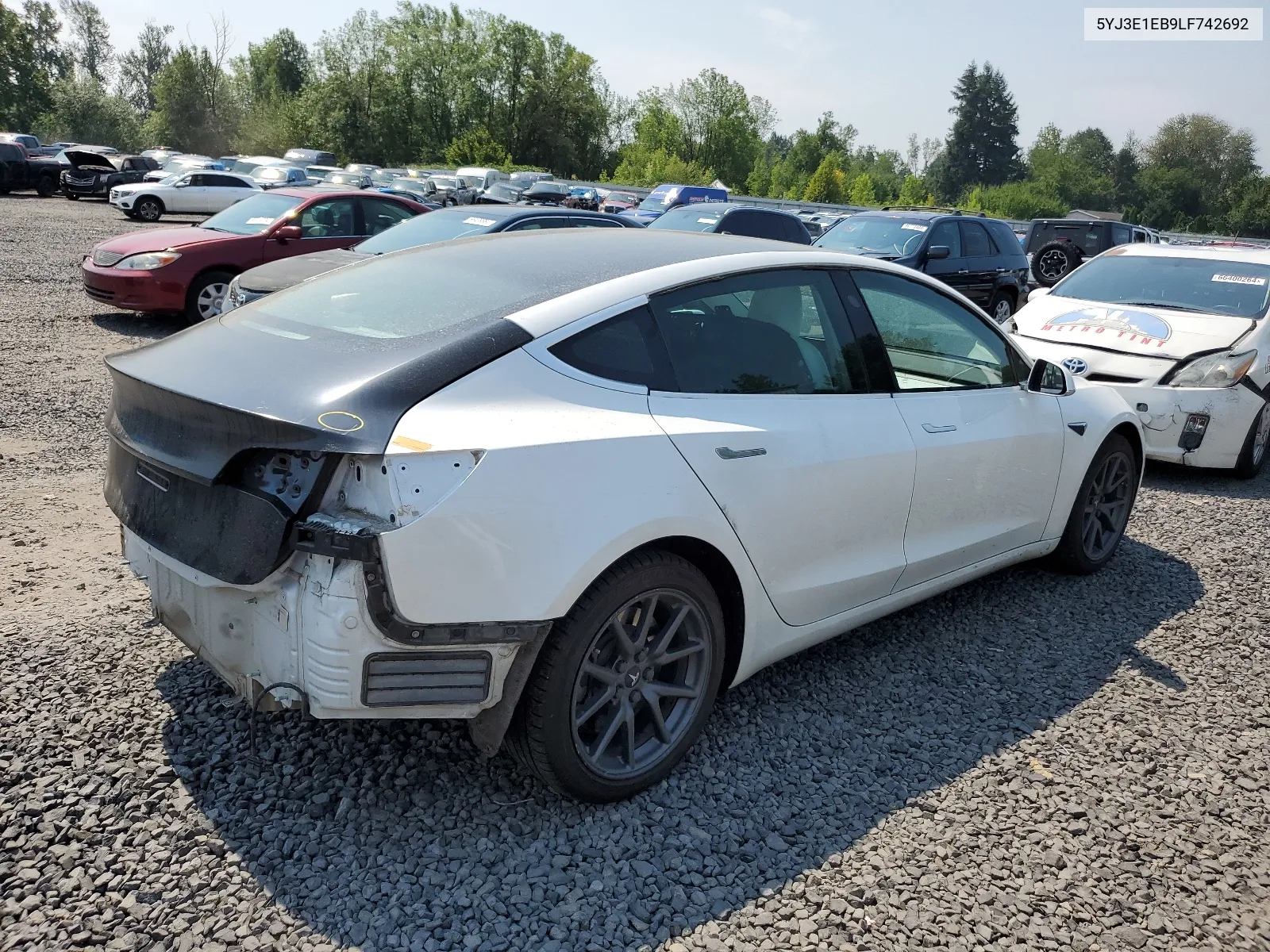 2020 Tesla Model 3 VIN: 5YJ3E1EB9LF742692 Lot: 63219914