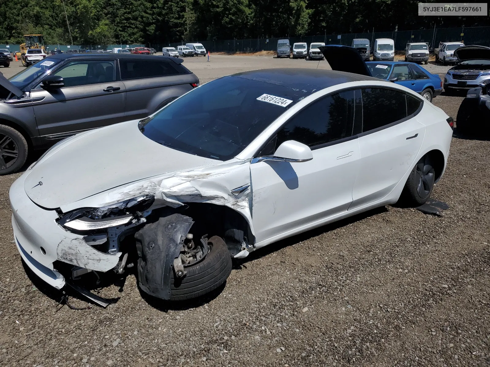 2020 Tesla Model 3 VIN: 5YJ3E1EA7LF597661 Lot: 66161224