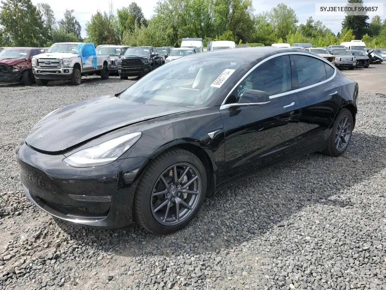 2020 Tesla Model 3 VIN: 5YJ3E1EB0LF599857 Lot: 66907704