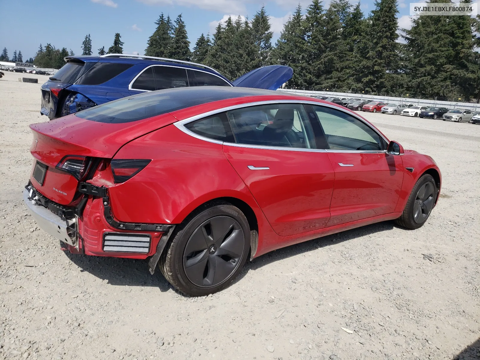 2020 Tesla Model 3 VIN: 5YJ3E1EBXLF800874 Lot: 67180884