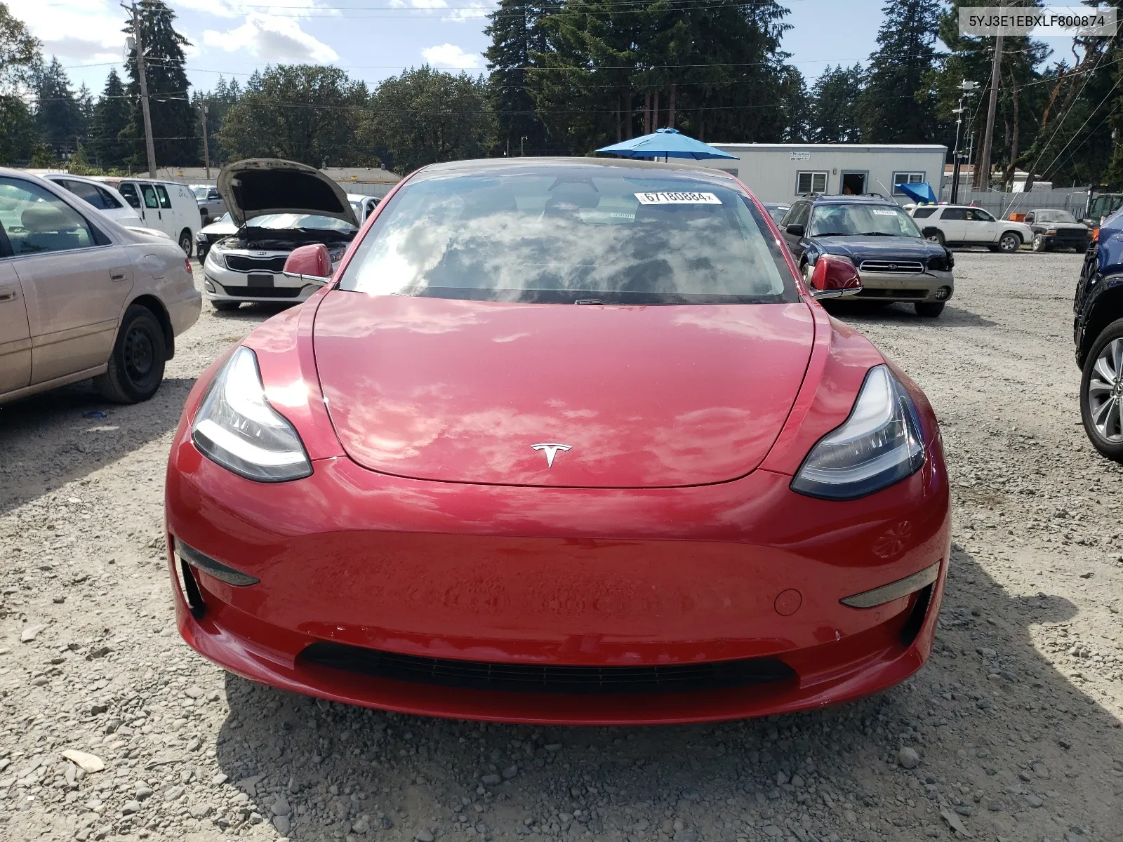 2020 Tesla Model 3 VIN: 5YJ3E1EBXLF800874 Lot: 67180884