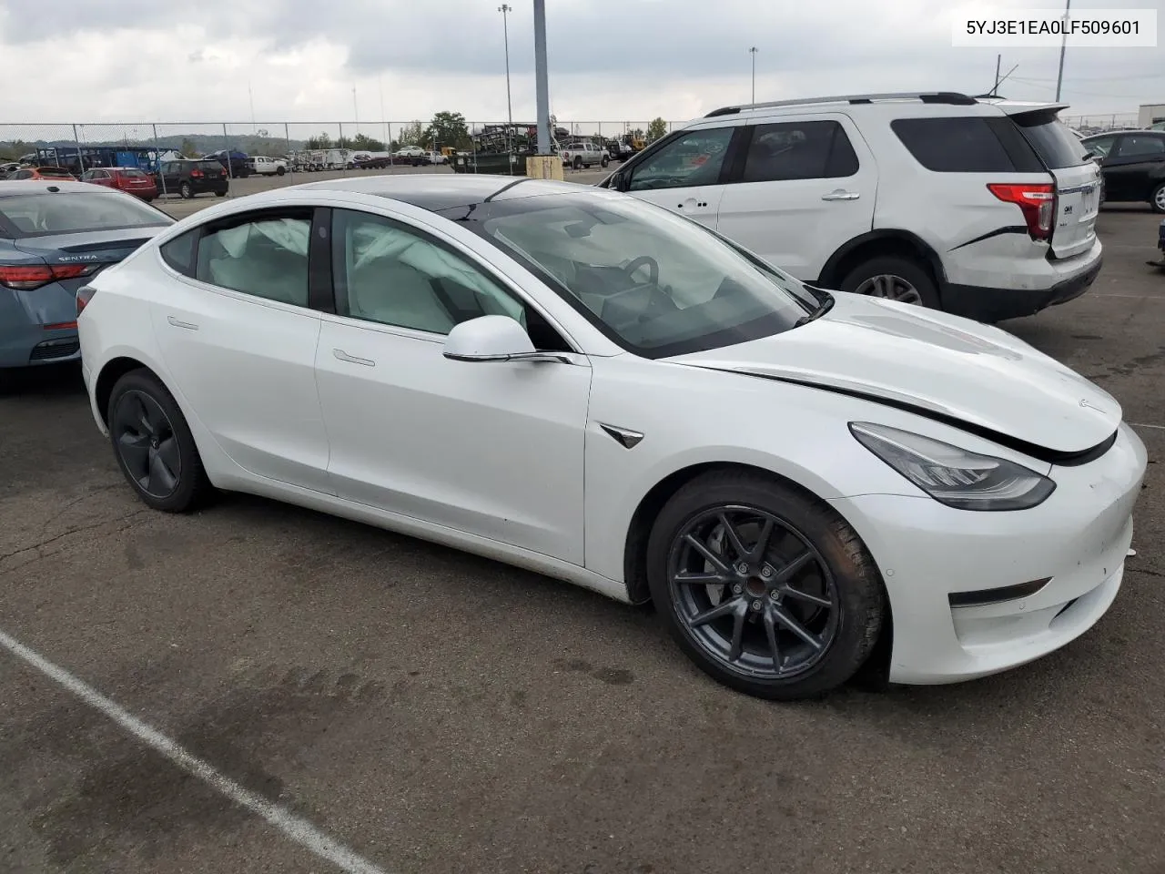 2020 Tesla Model 3 VIN: 5YJ3E1EA0LF509601 Lot: 73082434