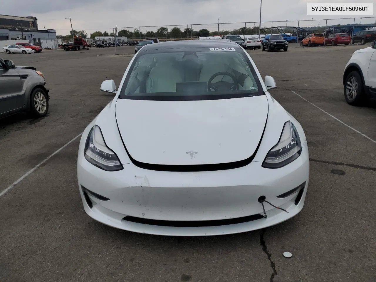 2020 Tesla Model 3 VIN: 5YJ3E1EA0LF509601 Lot: 73082434