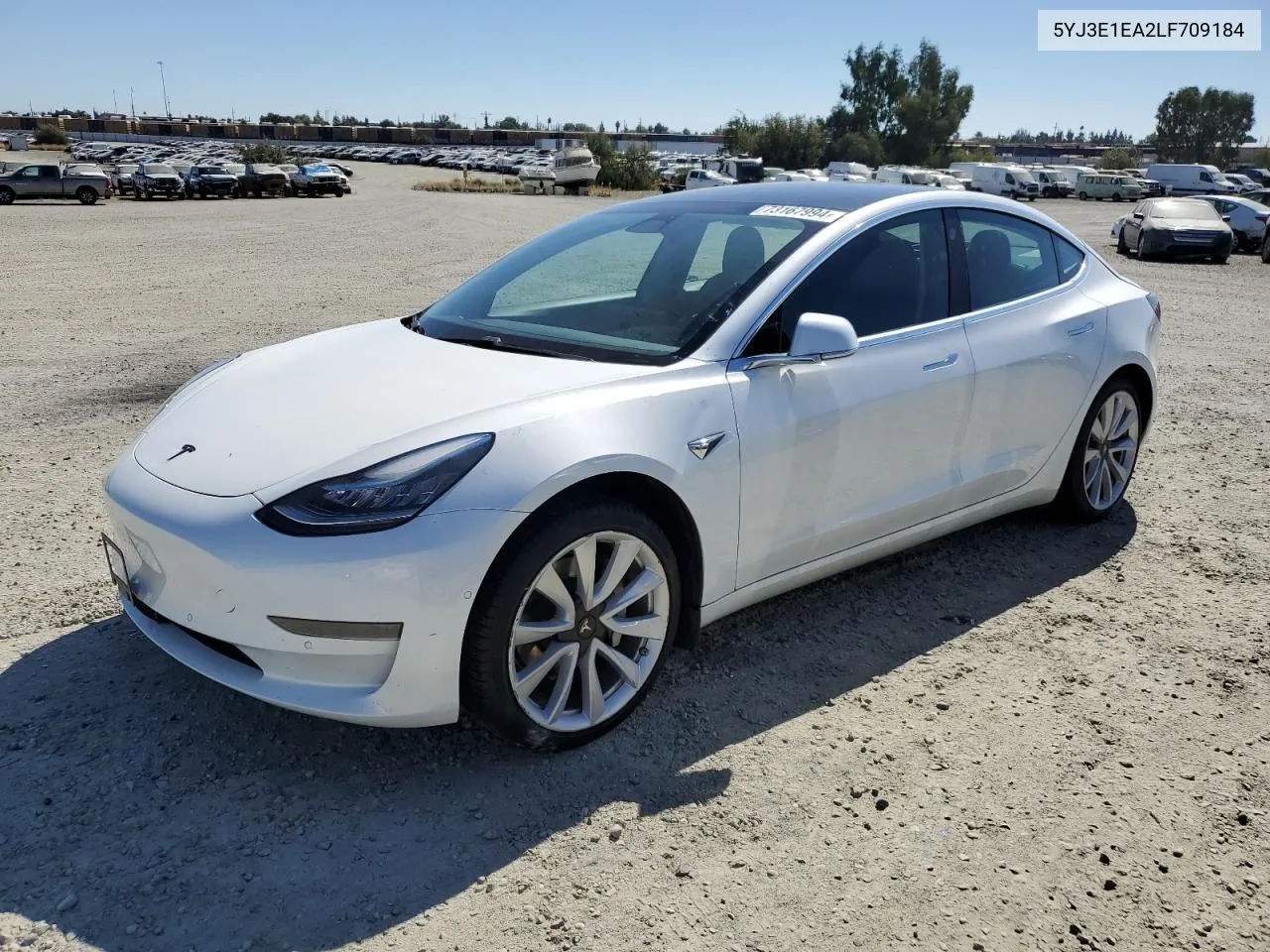 2020 Tesla Model 3 VIN: 5YJ3E1EA2LF709184 Lot: 73167994