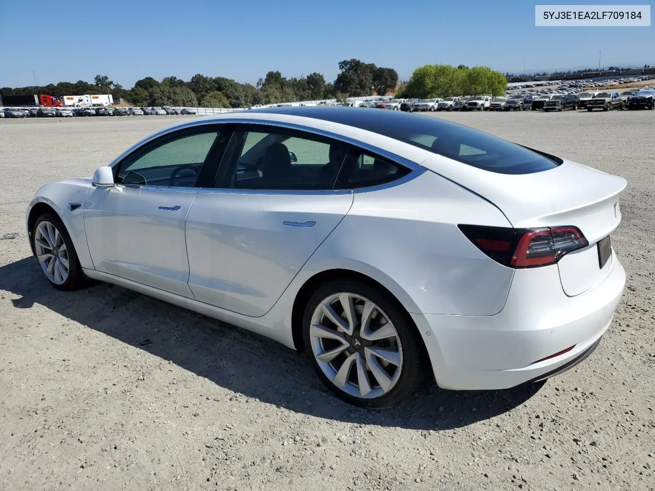 2020 Tesla Model 3 VIN: 5YJ3E1EA2LF709184 Lot: 73167994