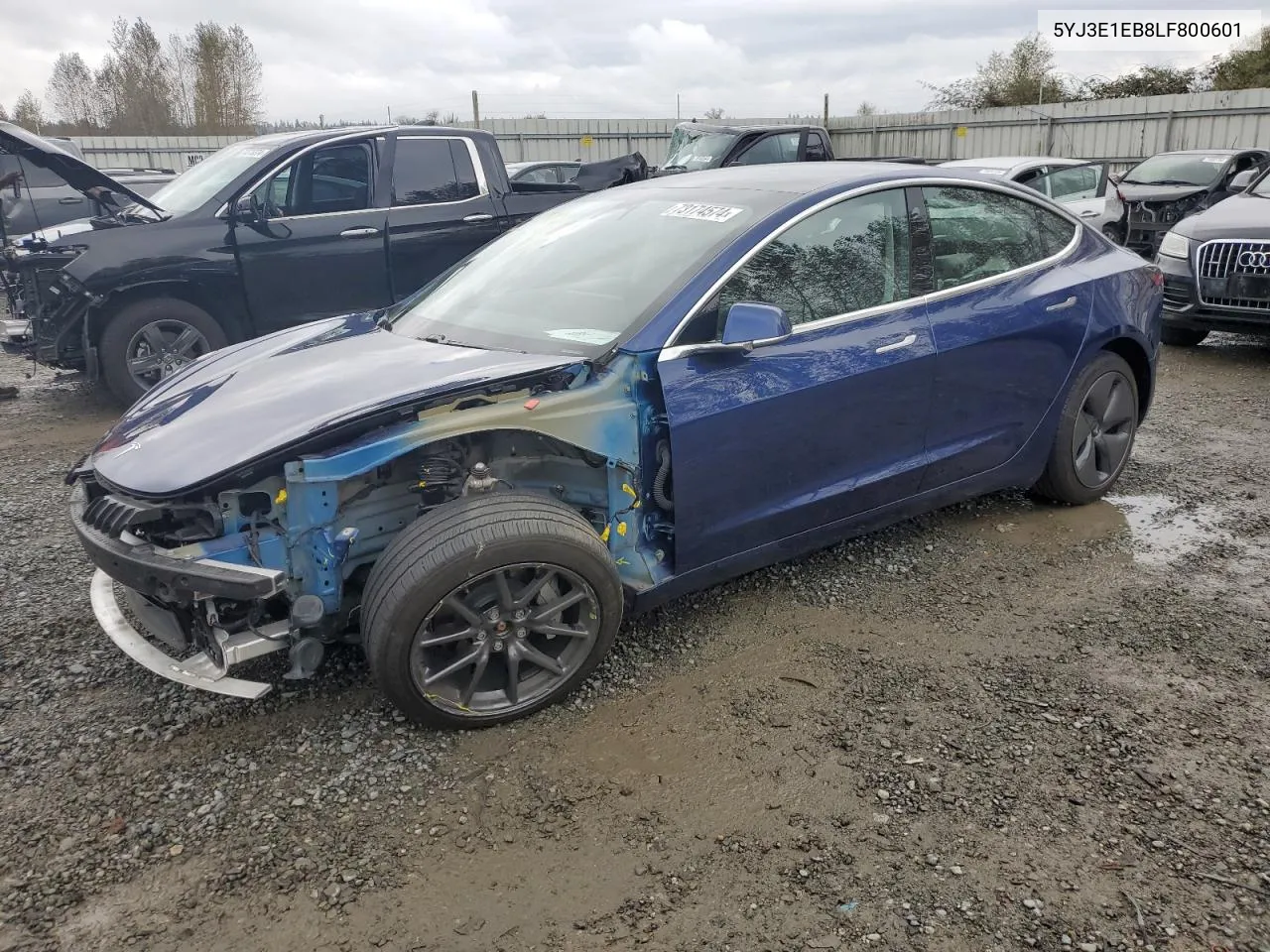 2020 Tesla Model 3 VIN: 5YJ3E1EB8LF800601 Lot: 73174574