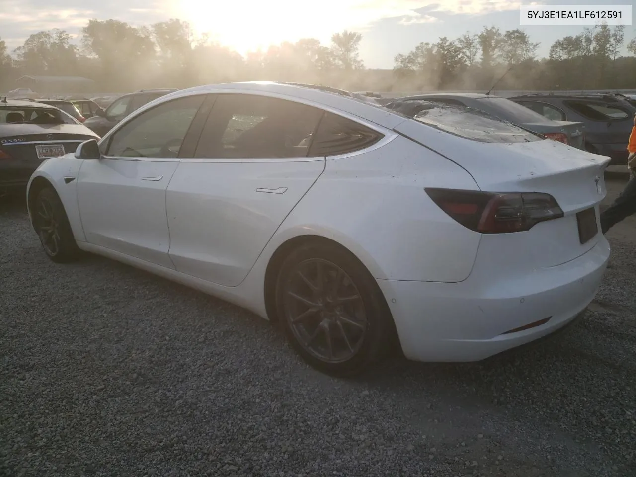 2020 Tesla Model 3 VIN: 5YJ3E1EA1LF612591 Lot: 74957484