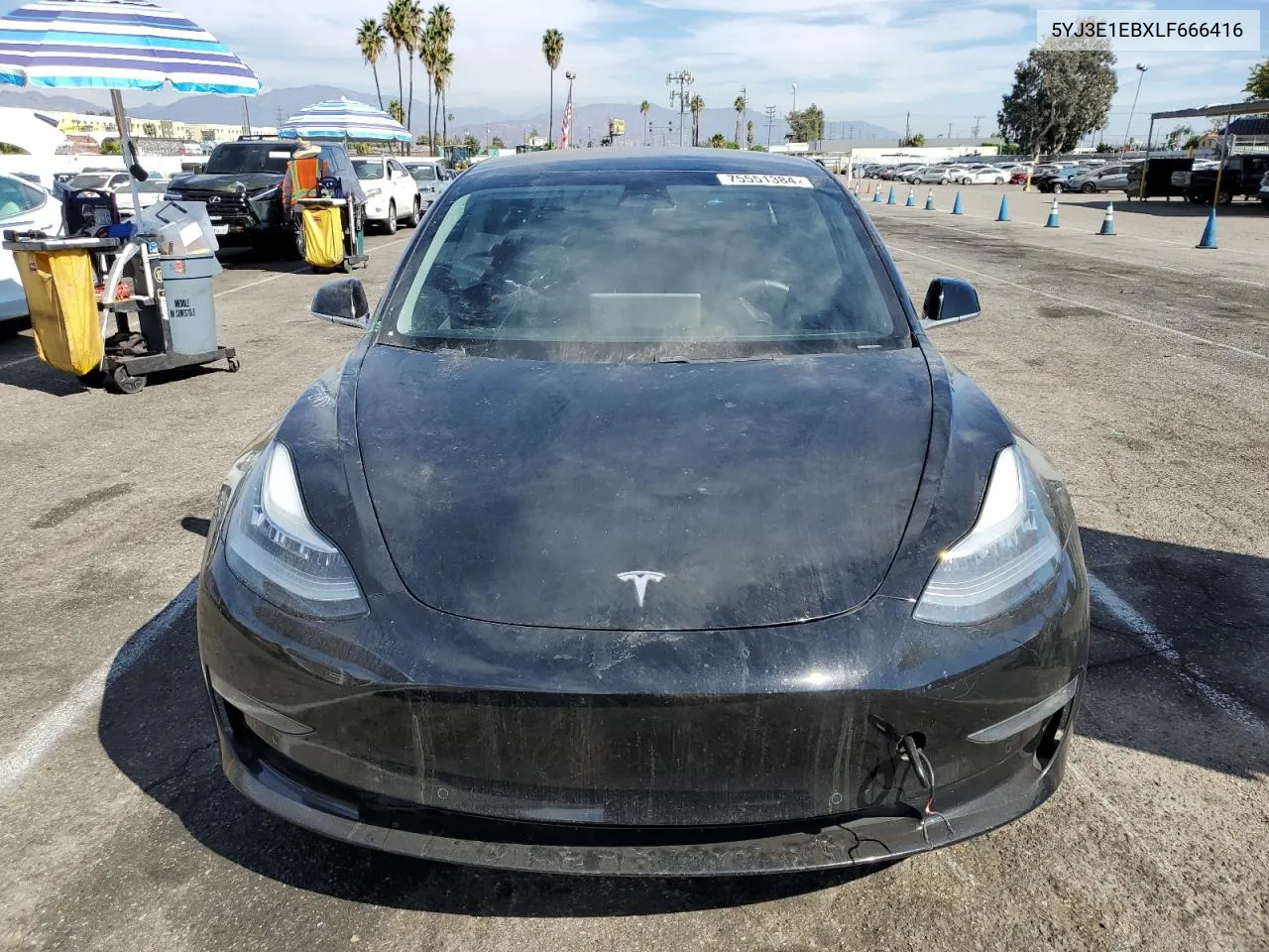 2020 Tesla Model 3 VIN: 5YJ3E1EBXLF666416 Lot: 75551384