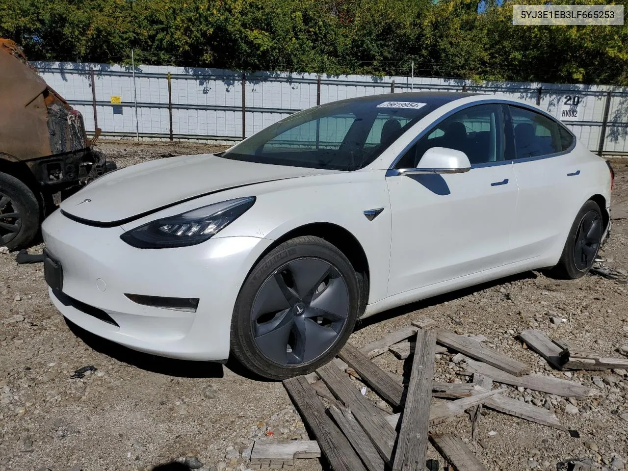 2020 Tesla Model 3 VIN: 5YJ3E1EB3LF665253 Lot: 75619954